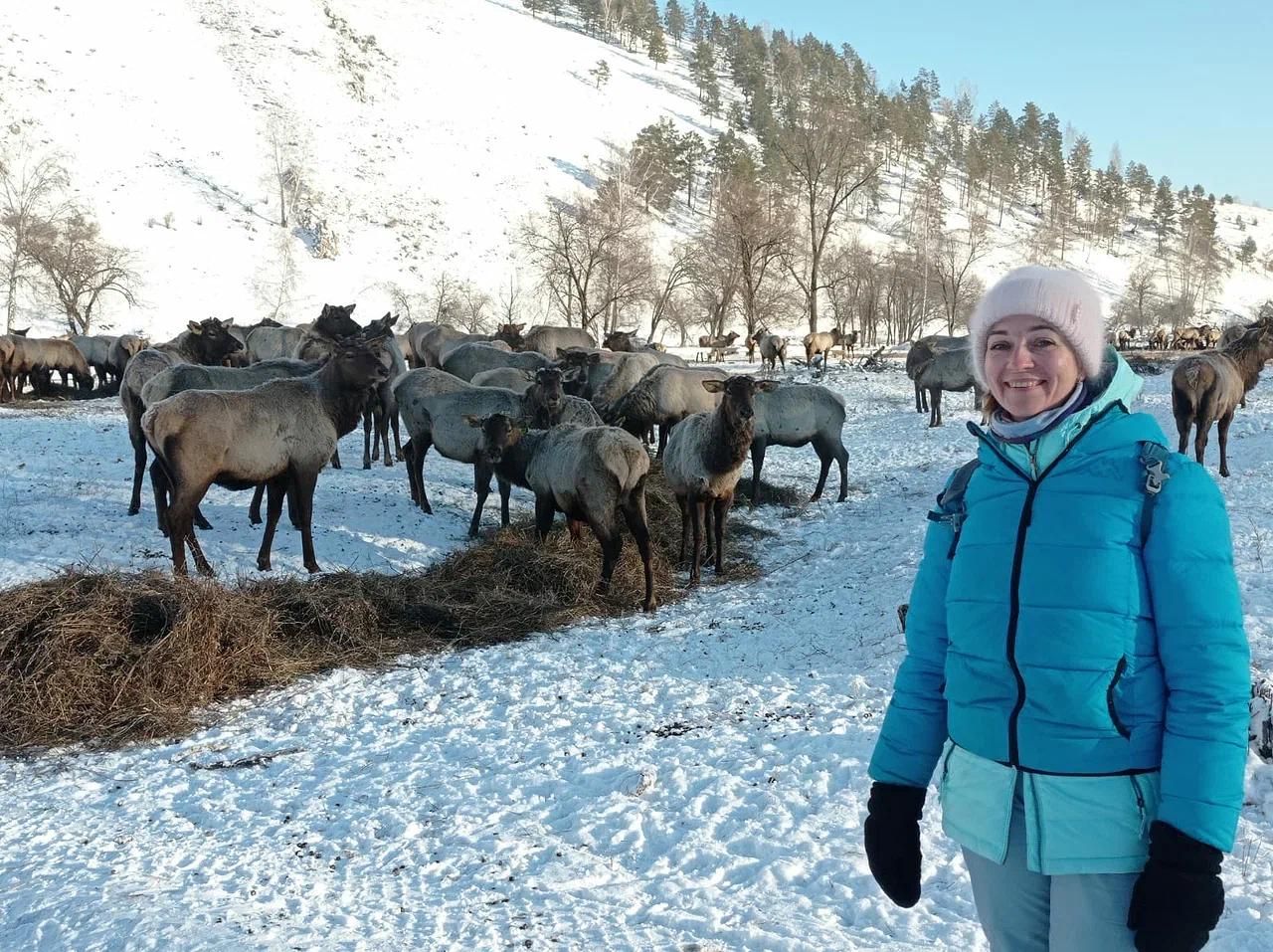 Зима на Чуйском тракте