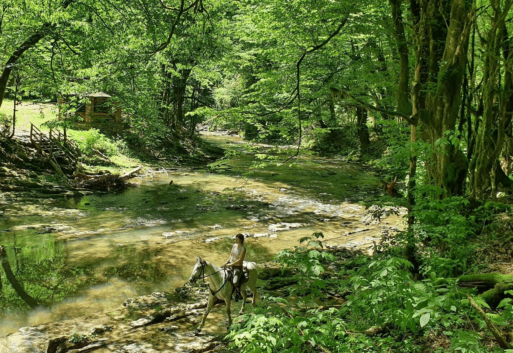 Верхом к ущельям и водопадам