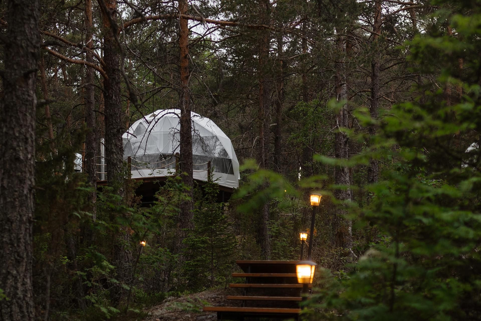 Карельский Aqua Glamp